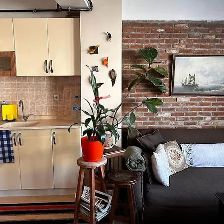 Cozy Flat To Taxim, Beyoglu, Pera, Galata Apartman *